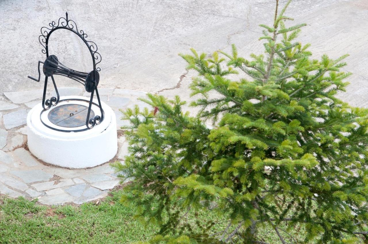 Oasis Olympia Apartments Smila Luaran gambar